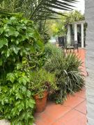 Casa en playa grande