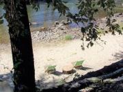 Riverside Court RV and Cabins