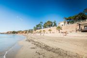 Top Torrevieja