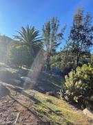 Top Olmué Top Olmué