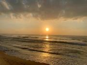 Top Chợ Phước Hải