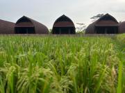 Villa Lumbung Sidemen