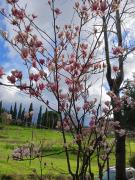Top Montecatini Terme