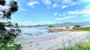 Top Viveiro
