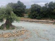 Beautiful architectural villa 10 pool beds