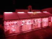 Top Saint Laurent Nouan