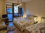Cozy Studio in Semiramida Gardens - Borovets Hills 39