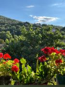 Top Saint-Hippolyte-du-Fort