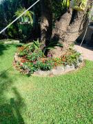 Top San Lucas Tolimán