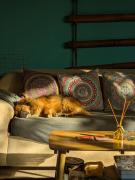 Top Ấp Thiện Sơn