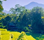 Top Pujungan Top Pujungan