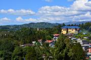 Top Mirik