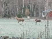 Haus Haberkorn im Smorland