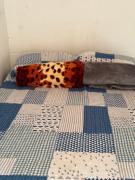 Top Carolina del Principe