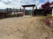 Top Carolina del Principe