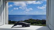Top Calheta de Nesquim