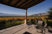 Top Cafayate