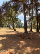 Top Quintay Top Quintay