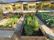 Top Sathani Lat Krabang Top Sathani Lat Krabang