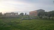 Top Paestum
