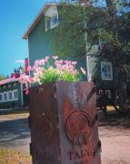 Taigaschool Eco Hotel