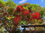 Top Playa de Santiago