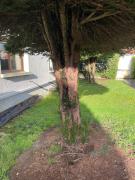 Top Pontault-Combault