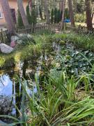 Top Pobierowo Top Pobierowo