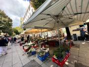 Bright House appartamento Roma