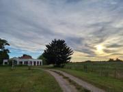 San Ignacio cattle farm Magdalena Buenos Aires