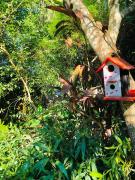 Top Colonia Carlos Pellegrini Top Colonia Carlos Pellegrini