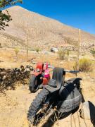 Top VicuƱa Top VicuƱa