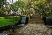 Top Dullstroom