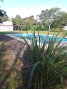 Top Colonia Carlos Pellegrini