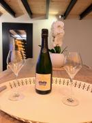 Top Montaigu-de-Quercy Top Montaigu-de-Quercy