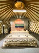 Nomad Yurts