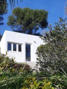 Les Bromélias Ile du Levant