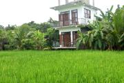 Lotus Leaf Resort