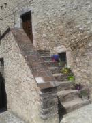 casa vacanze campagna in compagnia