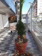 Top Guarapari