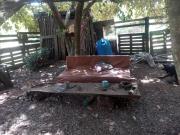 Shambalah roots camp