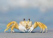 Guaruçá Pousada Apart Hotel