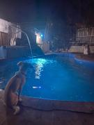 Amplia casa con piscina y vista al mar