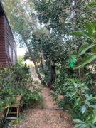 Top Curacaví Top Curacaví