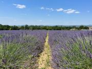 Top Saint-Privat-de-Champclos