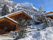 Chalet de lOurs, 4 étoiles, avec spa et proche des pistes