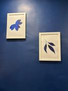 Sea-Front 1-BHK at CarterRoad