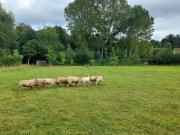 Top Thorigné-sur-Dué