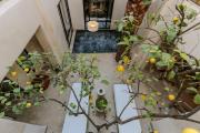 Riad KO Nova