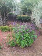 The Adress Events Venue